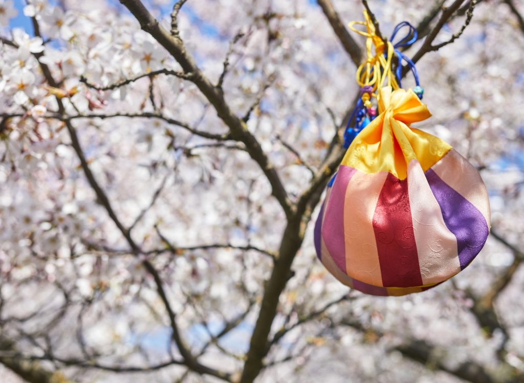 Korean New Year or Seollal. Sebaetdon lucky bag on Cherry blossom tree.